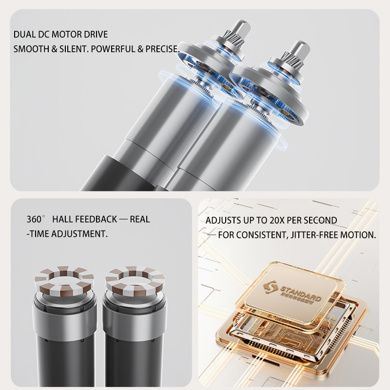 Dual DC motor