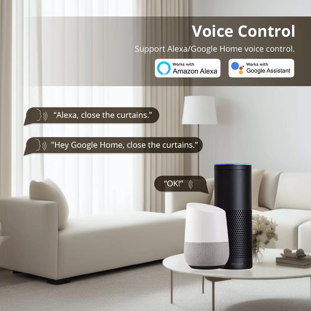 Alexa Google voice